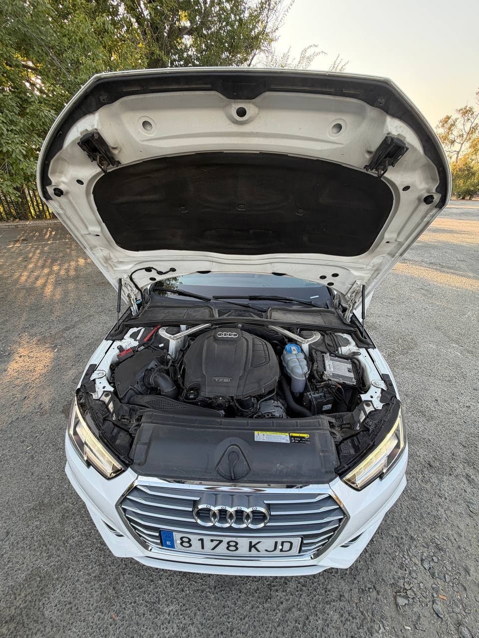 Volvo 6